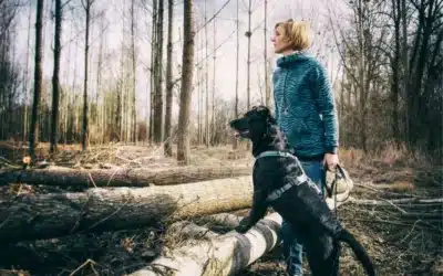 Das mit den Leckerli funktioniert bei meinem Hund nicht!